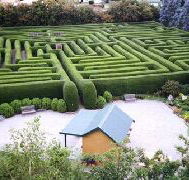 Westbury Maze and Tea Room - Accommodation Sunshine Coast