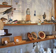 Touchwood Craft Gallery Gifts and Cafe - Accommodation Sunshine Coast