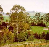 The Tasmanian Arboretum - Accommodation Sunshine Coast