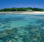 Green Island Fringing Reefs - Accommodation Sunshine Coast