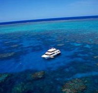 Norman Reef Dive Site - Accommodation Sunshine Coast