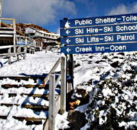 Ben Lomond National Park - Accommodation Sunshine Coast