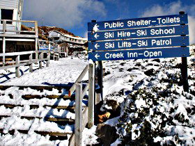 Ben Lomond National Park - Accommodation Sunshine Coast 0