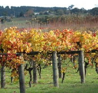 Apsley Gorge Vineyard - Accommodation Sunshine Coast