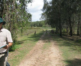 Coombabah QLD Accommodation Sunshine Coast