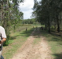 Coombabah Lakes Conservation Area - Accommodation Sunshine Coast