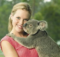 Paradise Country Aussie Farm Tour - Accommodation Sunshine Coast