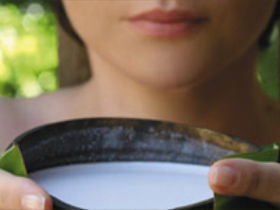 Ikatan Day Spa - Accommodation Sunshine Coast 0