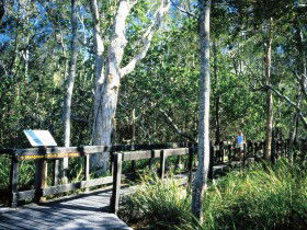 Noosa Heads QLD Accommodation Sunshine Coast