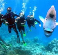Jew Shoal Dive Site