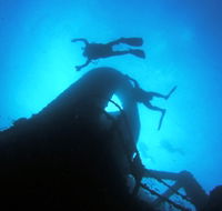 Ex HMAS Brisbane Dive Site - Accommodation Sunshine Coast