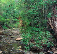 Mudlo National Park - Accommodation Sunshine Coast