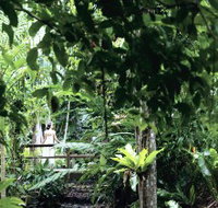 Flecker Botanic Gardens - Accommodation Sunshine Coast