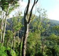 Smiths Track Barron Gorge National Park - Accommodation Sunshine Coast