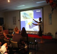 Reef Teach - Accommodation Sunshine Coast