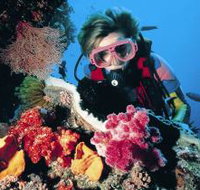 Osprey Reef - Accommodation Sunshine Coast