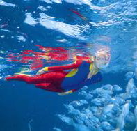 Pixie Pinnacle Dive Site - Accommodation Sunshine Coast