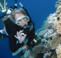 Moore Reef Dive Site - Accommodation Sunshine Coast