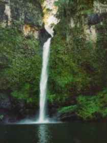 Nandroya Falls Circuit Track, Wooroonooran National Park - Accommodation Sunshine Coast 0