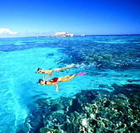 Northern Great Barrier Reef - Accommodation Sunshine Coast