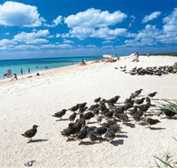 Michaelmas and Upolo Cays National Park - Accommodation Sunshine Coast