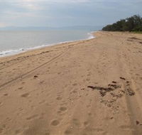 Forrest Beach