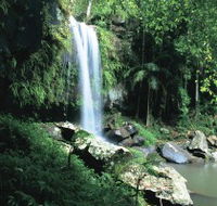 Curtis Falls Joalah Section - Accommodation Sunshine Coast
