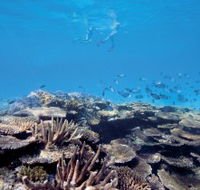 Australian Institute of Marine Science - Accommodation Sunshine Coast