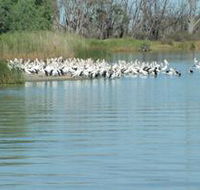Lake Ross