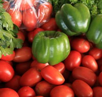 Burleigh Heads Markets - Accommodation Sunshine Coast