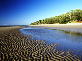 Kinkuna Section - Accommodation Sunshine Coast 0