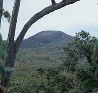 Mount Fox