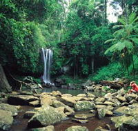 Tamborine National Park - Accommodation Sunshine Coast