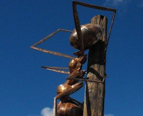 Augathella Meat Ant Park And Sculpture - Accommodation Sunshine Coast 0