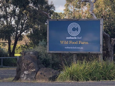 Wild Food Farm & Cafe - Accommodation Sunshine Coast 1