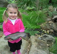 Wild Food Farm  Cafe - Accommodation Sunshine Coast