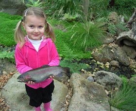 Wild Food Farm & Cafe - Accommodation Sunshine Coast 0