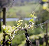 Downing Estate - Accommodation Sunshine Coast