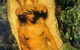 William Ricketts Sanctuary - thumb 0