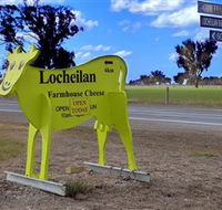 Locheilan Farmhouse Cheese - Accommodation Sunshine Coast