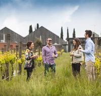 Willow Creek Vineyard - Accommodation Sunshine Coast