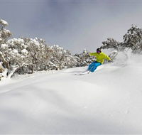 Mt Buller and Mt Stirling Alpine Resort - Accommodation Sunshine Coast