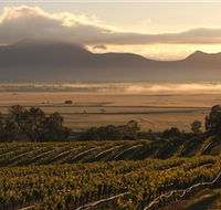 Montara Wines
