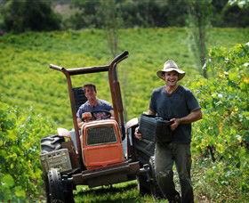 Kellybrook Winery & Kelly Brothers Cider - Accommodation Sunshine Coast 0