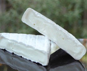 Red Hill Cheese - Accommodation Sunshine Coast 0