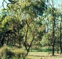 Leaghur State Park - Accommodation Sunshine Coast