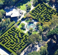 Ashcombe Maze  Lavender Gardens - Accommodation Sunshine Coast