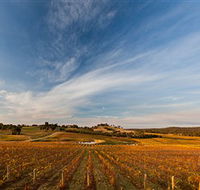 Sanguine Estate - Accommodation Sunshine Coast