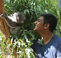 Healesville Sanctuary - Accommodation Sunshine Coast