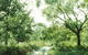 Holey Plains State Park - thumb 0